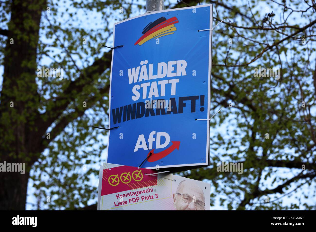 AFD-Wahlplakat - Wahl in Thüringen - Landtagswahl am 1. September in Thüringen 2024 - Landratswahl im Saale-Holzland-Kreis am 26. Mai 2024 - Deutschland, DE, DEU, Deutschland, Neustadt an der Orla, 27.04.2024 - WÄLDER STATT WINDKRAFT - Logo: AFD - Abbildung: Deutsche Nationalfarben Schwarz Rot Gold - Stromerzeugung aus Windkraft Windkraftanlagen für das Klima - Wald ist ein Gegenspieler des Klimawandels. *** AfD-Wahl Plakatwahl in Thüringen Landtagswahl am 1. September 2024 in Thüringen Landtagswahl im Landkreis Saale Holzland am 26. Mai 2024 Deutschland, DE, Deutschland, Neustadt und d Stockfoto