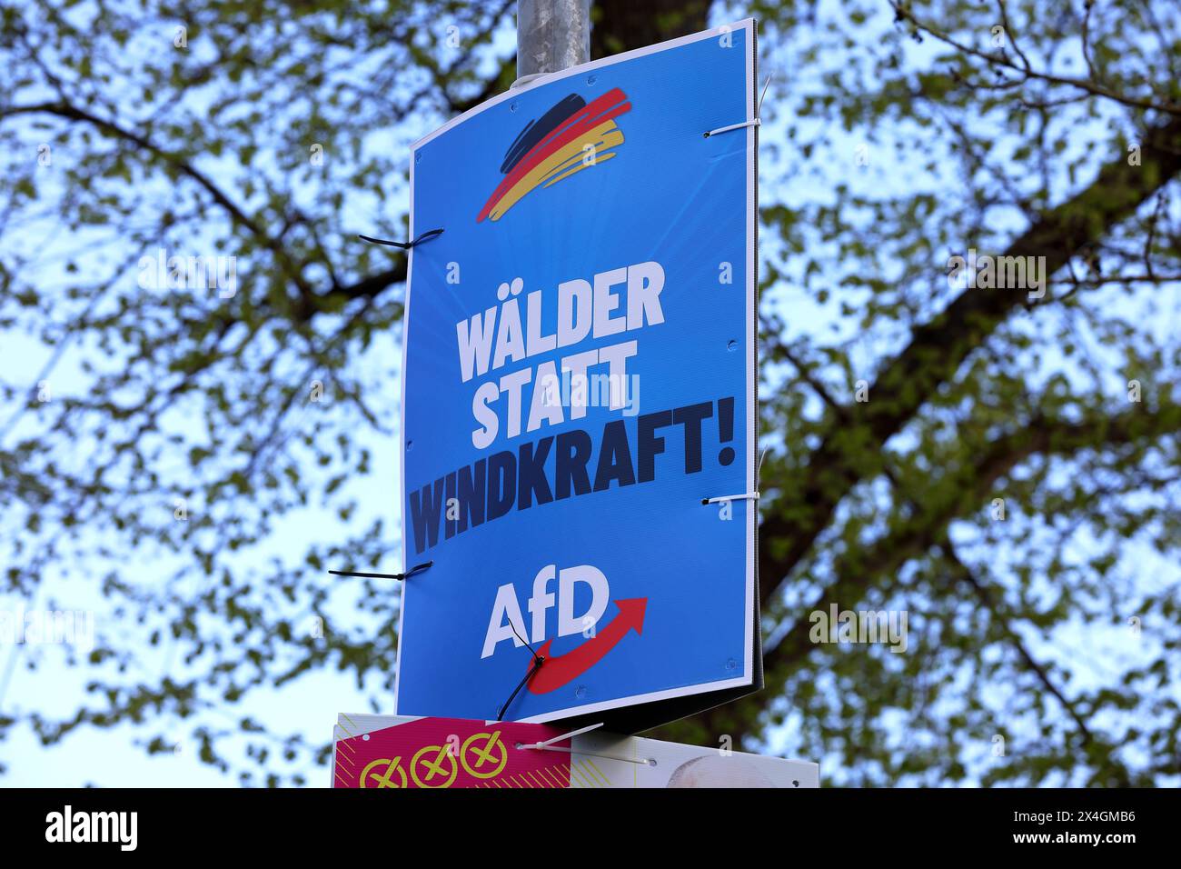 AFD-Wahlplakat - Wahl in Thüringen - Landtagswahl am 1. September in Thüringen 2024 - Landratswahl im Saale-Holzland-Kreis am 26. Mai 2024 - Deutschland, DE, DEU, Deutschland, Neustadt an der Orla, 27.04.2024 - WÄLDER STATT WINDKRAFT - Logo: AFD - Abbildung: Deutsche Nationalfarben Schwarz Rot Gold - Stromerzeugung aus Windkraft Windkraftanlagen für das Klima - Wald ist ein Gegenspieler des Klimawandels. *** AfD-Wahl Plakatwahl in Thüringen Landtagswahl am 1. September 2024 in Thüringen Landtagswahl im Landkreis Saale Holzland am 26. Mai 2024 Deutschland, DE, Deutschland, Neustadt und d Stockfoto