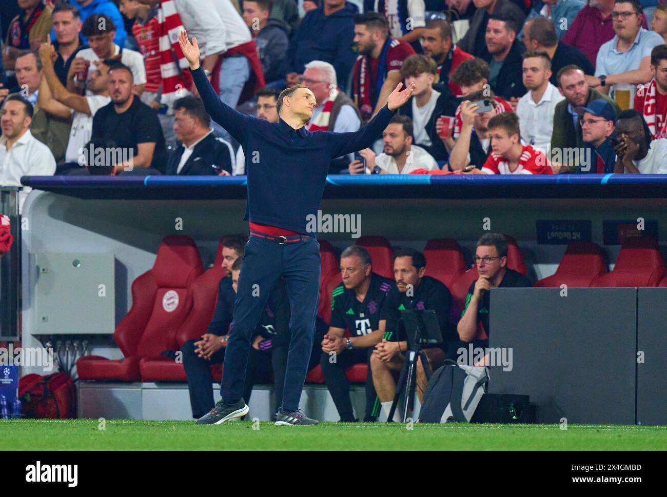 Trainer Thomas Tuchel (FCB), Teammanager, Headcoach, Trainer, frustriert nach einer gescheiterten Torchance im Halbfinalspiel FC BAYERN MÜNCHEN - REAL MADRID 2-2 der Fußball UEFA Champions League in der Saison 2023/2024 in München, 30. April 2024. Halbfinale, FCB, München © Peter Schatz / Alamy Live News Stockfoto