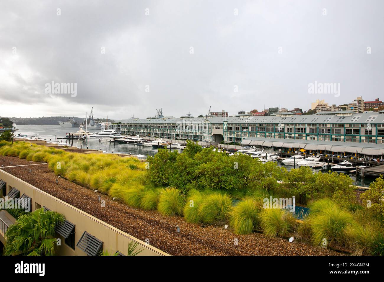 Sydney, Australien, Woolloomooloo Wharf, auch bekannt als Te Finer Wharf in der Innenstadt von Sydney, der längste Holzstapelsteg und Kulturerbe Stockfoto