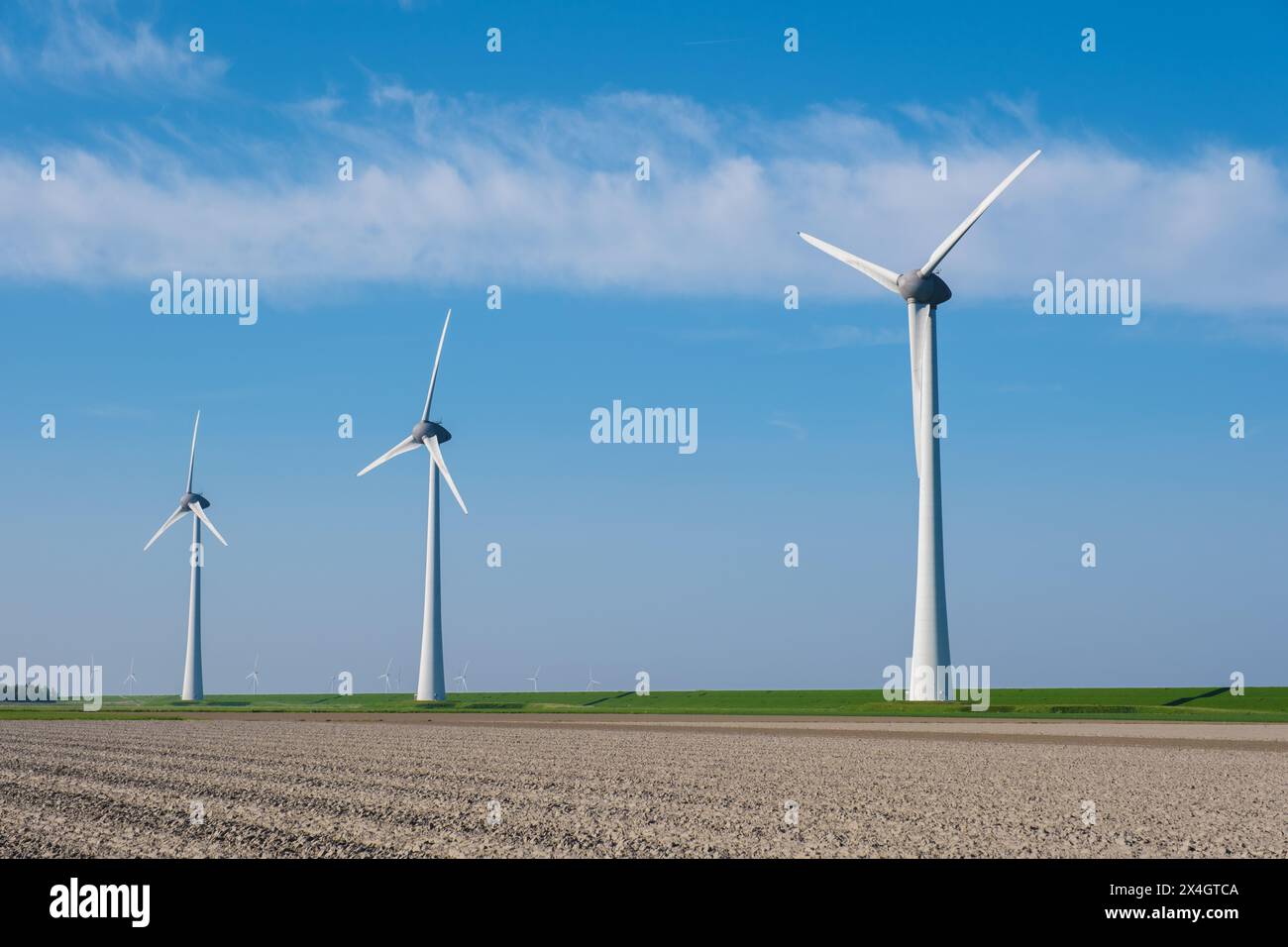 Eine majestätische Reihe hoch aufragender Windturbinen dreht sich anmutig auf einem riesigen Feld in den Niederlanden Flevoland und nutzt die Kraft des Windes, um saubere, Stockfoto