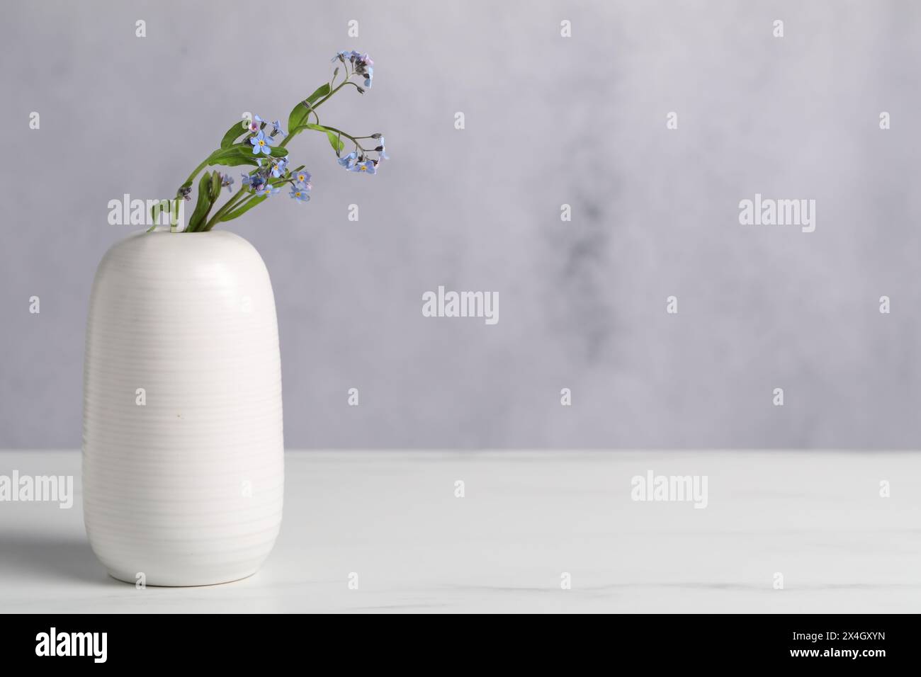 Wunderschöne Vergissmeinenicht-Blumen in Vase auf weißem Marmortisch, Nahaufnahme. Leerzeichen für Text Stockfoto