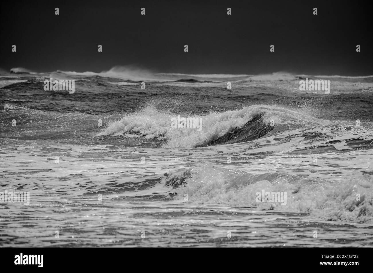 Tyrrhenische See, Italien, schwarz-weiß, eine stürmische Quelle mit schäumenden Wellen an einem Strand in der Nähe von Rom Stockfoto