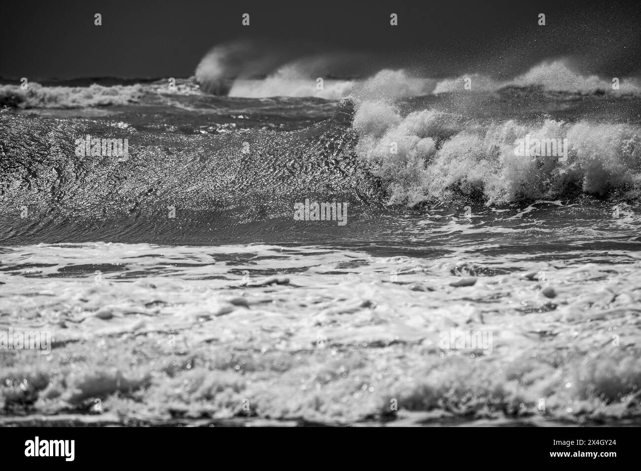 Tyrrhenische See, Italien, schwarz-weiß, eine stürmische Quelle mit schäumenden Wellen an einem Strand in der Nähe von Rom Stockfoto