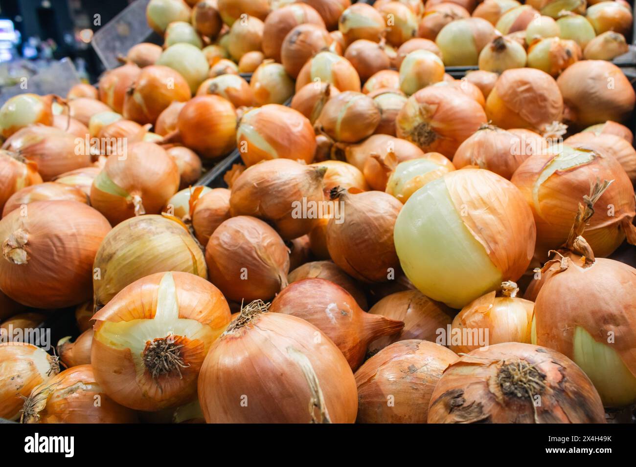 Gelbe Zwiebeln am Marktstand. Ungeschälte Zwiebeln im Karton. Hintergrund Zwiebelzwiebeln. Haufen Bio-Gemüse. Weiße Zwiebelernte Stockfoto