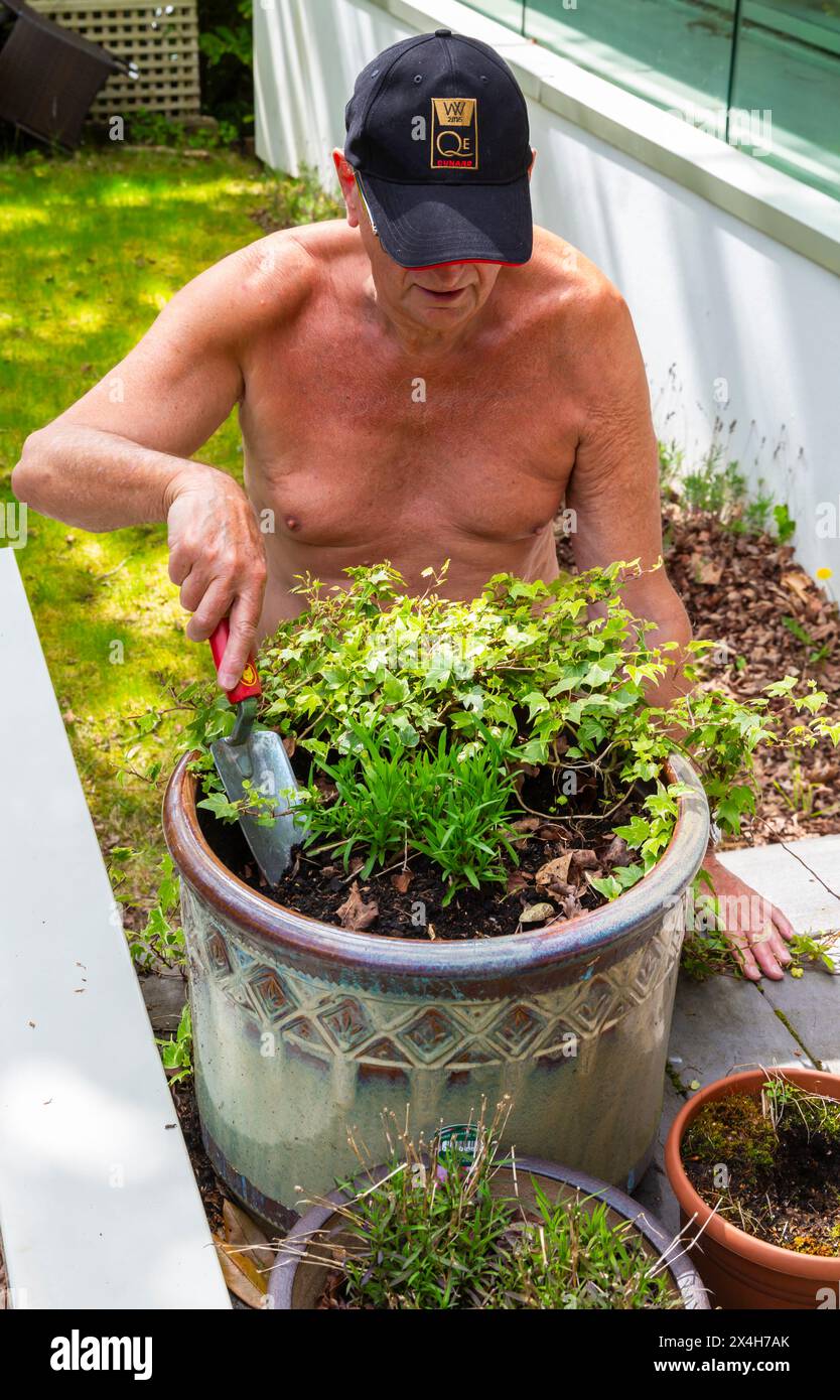 Poole, Dorset, Großbritannien. Mai 2024. Der nackte Gärtner Malcolm macht sich auf den World Naked Gardening Day am Samstag, den 4. Mai in seinem Garten auf. Der World Naked Gardening Day ist eine jährliche internationale Veranstaltung, die 2005 am ersten Samstag im Mai gefeiert wird. Quelle: Carolyn Jenkins/Alamy Live News Stockfoto
