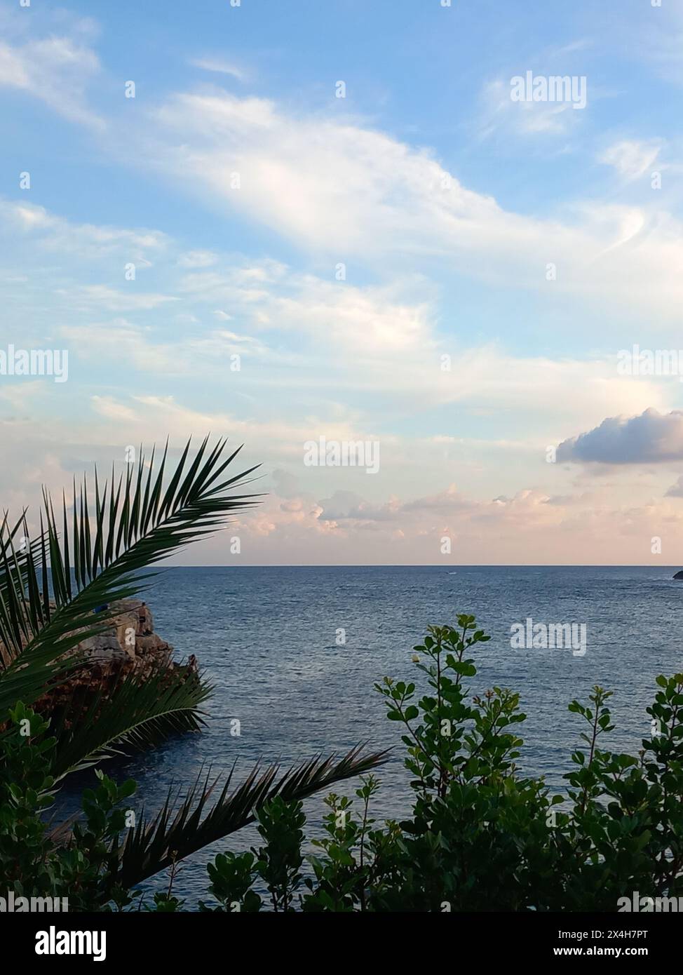 Ruhige Dämmerung über dem Meer, umrahmt von Palmblättern, reflektiert sanfte Töne der untergehenden Sonne in einer friedlichen, tropischen Landschaft Stockfoto