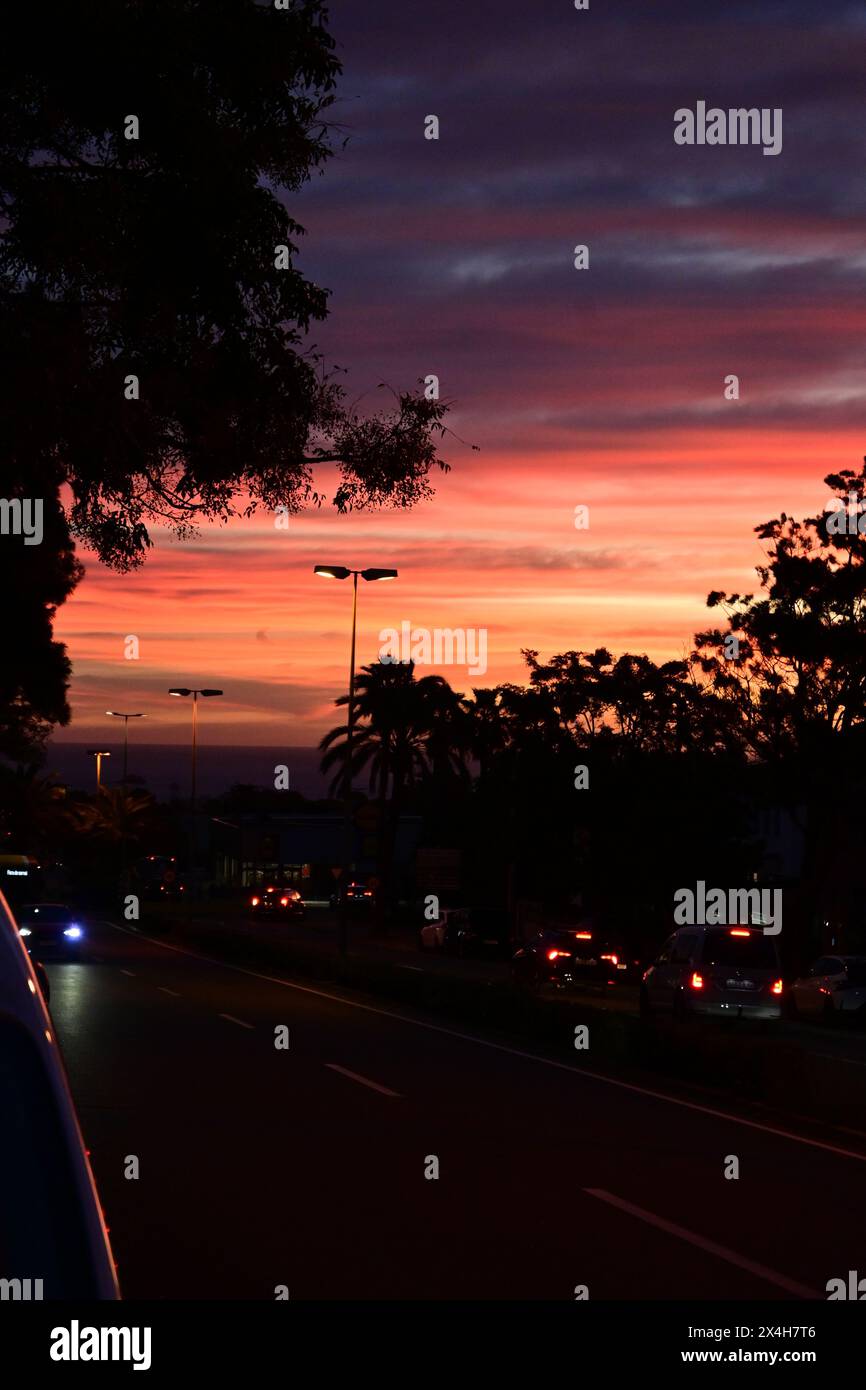 Ruhiger Boulevard bei Sonnenuntergang: Straßenlaternen leuchten sanft, wenn die Sonne untergeht, mit Palmen, die sich vor dem farbenfrohen Himmel bilden, was eine malerische Atmosphäre schafft Stockfoto