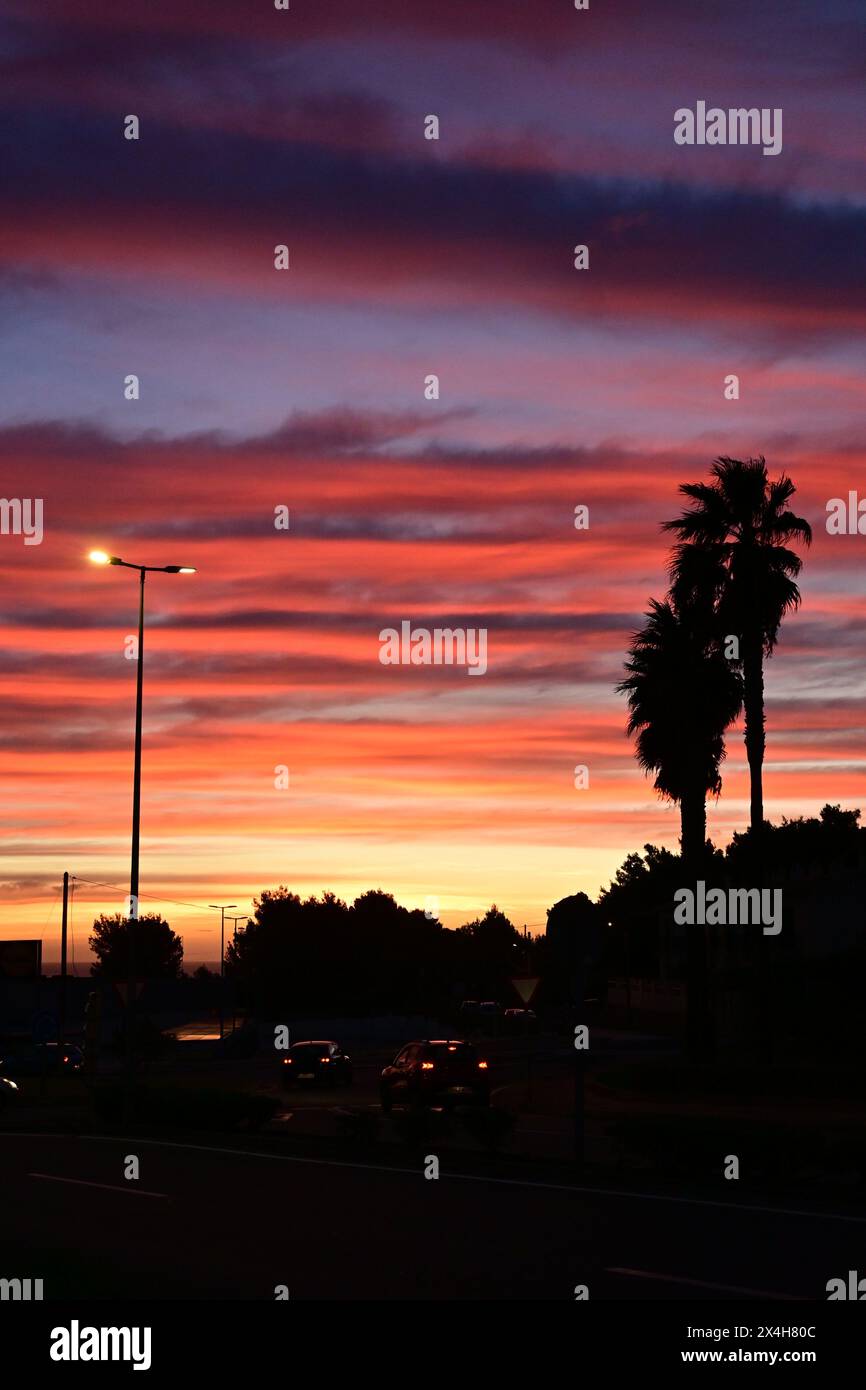 Palmensilhouetten bei Sonnenuntergang der Himmel leuchtet mit Farben, während die Sonne untergeht, und hebt die Silhouette von Palmen und Straßenlaternen in einer ruhigen Stadt hervor Stockfoto
