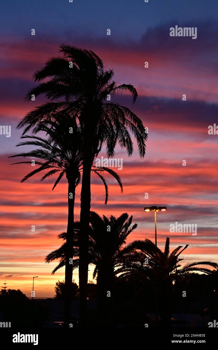 Die magischen Straßenlaternen der Abenddämmerung strahlen ein warmes Leuchten aus, während der Himmel von Tag zu Nacht übergeht. Palmen schaffen eine ruhige und malerische Stadt Stockfoto