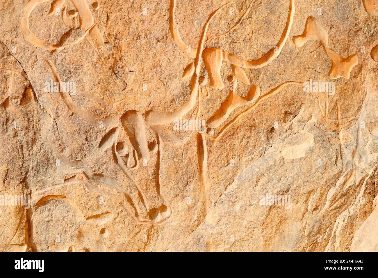 La vache qui Pleure, die Felsschnitzerei der weinenden Kuh. Erg Admer, Algerien Stockfoto