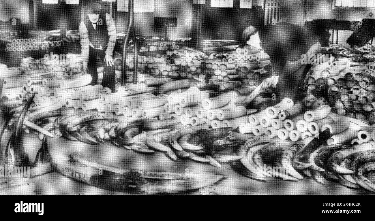 London. Um 1935 – ein Bild von Elefantenstoßzähnen, die auf dem Elfenbeinboden in London Docks aufbewahrt werden. Stockfoto