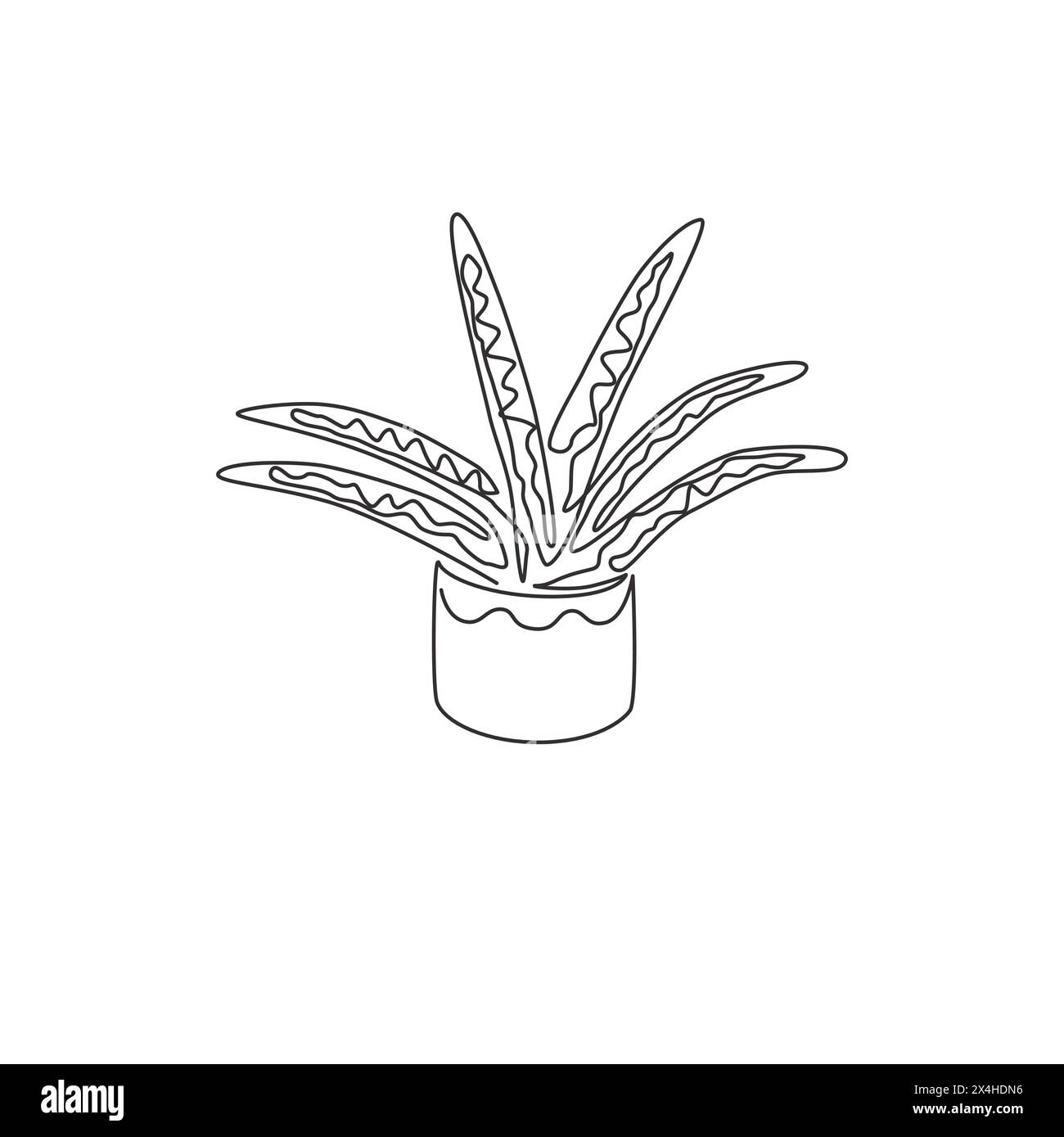 Einzelne durchgehende Linienzeichnung einer Schlangenpflanze für die Wohnkultur-Logo-Identität. Frisches, immergrünes mehrjähriges Pflanzenkonzept für Pflanzensymbol. Modern Stock Vektor