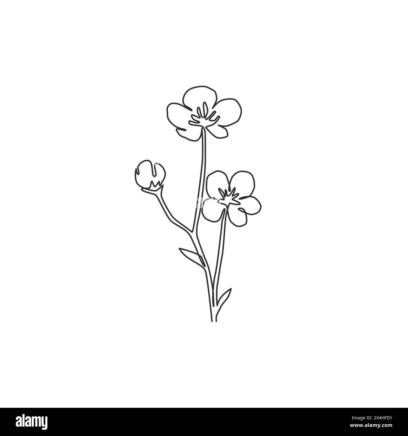 Eine einzeilige Zeichnung mit einem schönen frischen Ranunkel für Garten-Logo. Bedruckbare dekorative Schmetterlingsblume für Wohnkultur-Poster. Trendig Stock Vektor