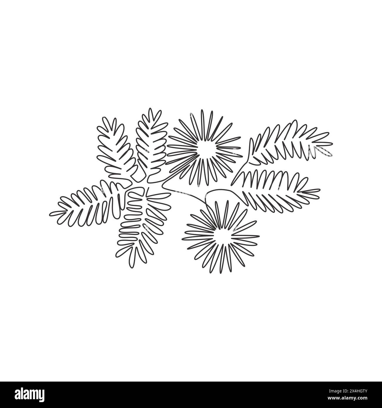 Eine durchgehende Linie mit schönen, frischen Dormilonen für Wohnwand-Dekor-Poster. Dekoratives verschlafenes Pflanzenblumenkonzept für Einladungskarte. Stock Vektor