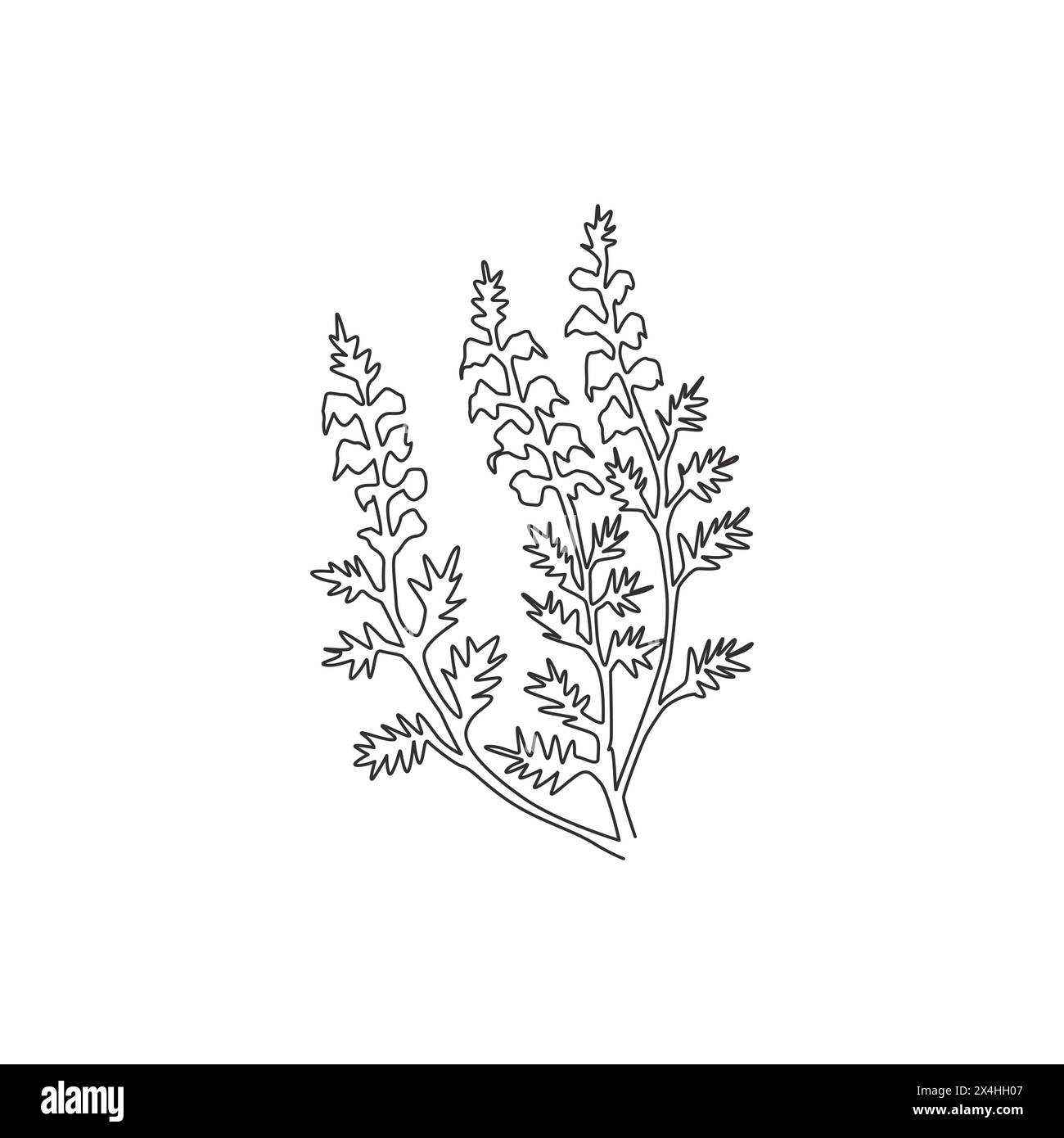 Eine durchgehende Linienzeichnung von Beauty Fresh Common Heather für Wohnkultur Wandbild Poster. Dekorative calluna vulgaris Blume für Einladungswagen Stock Vektor