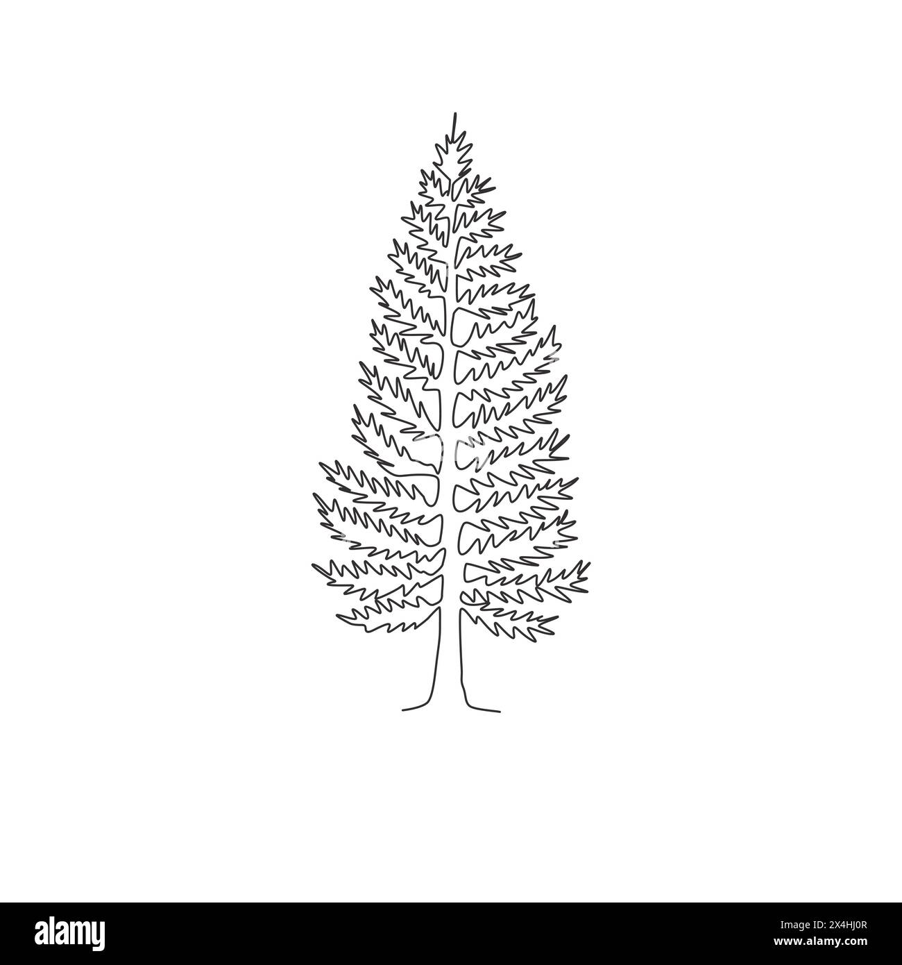 Eine durchgehende Linienzeichnung von Schönheit und exotischem Kiefernbaum für Poster mit Wandmalerei im Wohnbereich. Dekorative hohe Nadelpfannenpflanze für den Nationalpark Stock Vektor