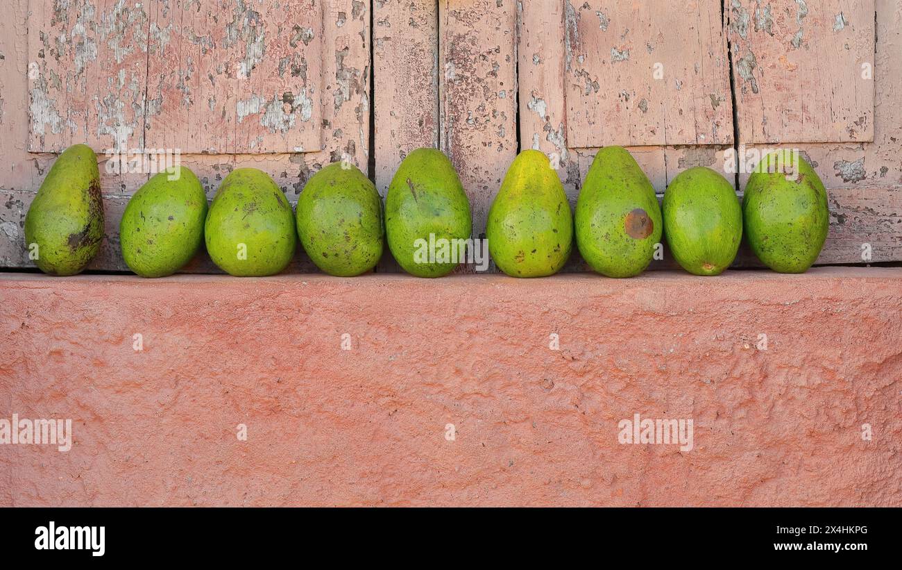 226 Linie grüner Avocados, Sorte Catalina, auf dem lachsorangen Vorsprung eines geschlossenen Fensters, in einer Straße neben dem Plaza Mayor Square. Trinidad-Kuba. Stockfoto