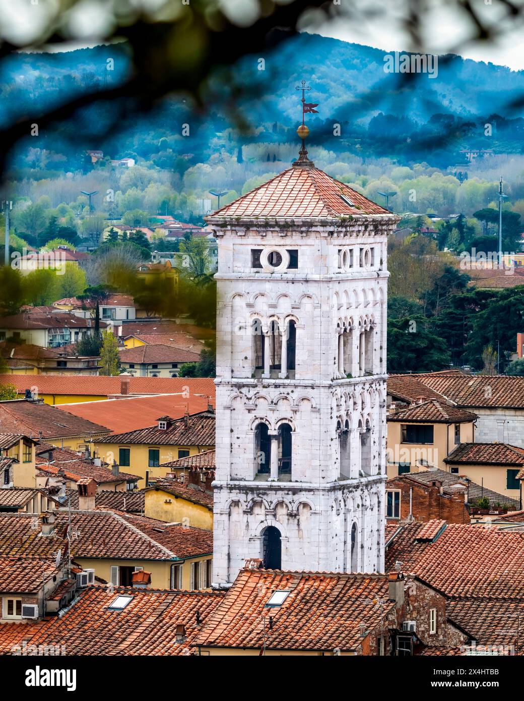 Ein malerischer Blick auf einen alten weißen Steinglockenturm von der Kirche San Michele in Foro, umgeben von Wohngebäuden, eingerahmt von Baumästen Stockfoto