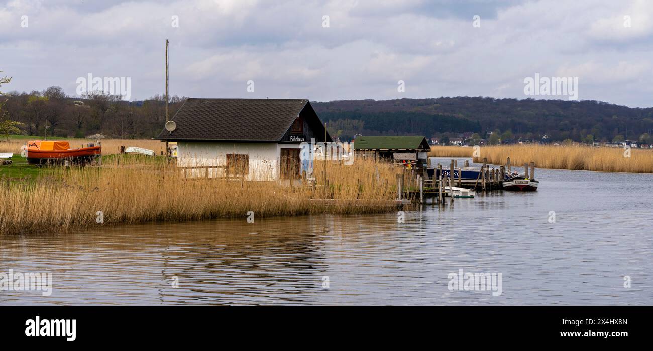 Landschaft am Fährhaus des Verbindungskanals Baabe-Selin-Moritzdorf, Seliner See, Rügen, Mecklenburg-Vorpommern, Deutschland Stockfoto