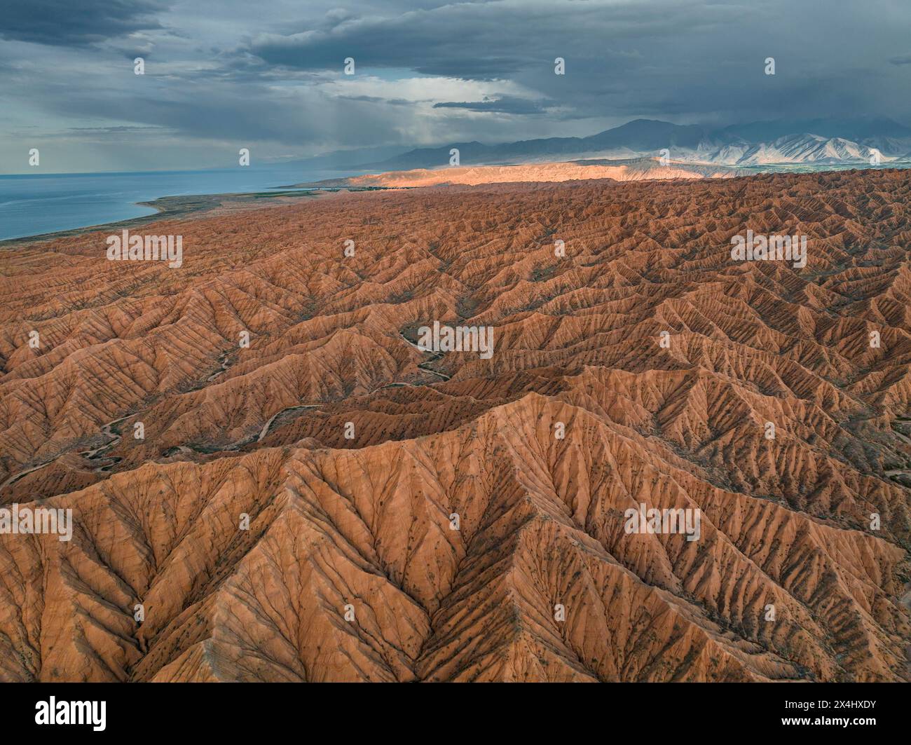 Der Canyon verläuft durch die Landschaft, der Issyk Kul Lake, hinter weißen Gipfeln der Tien Shan Mountains, dramatische karge Landschaft mit erodierten Hügeln, Badlands Stockfoto