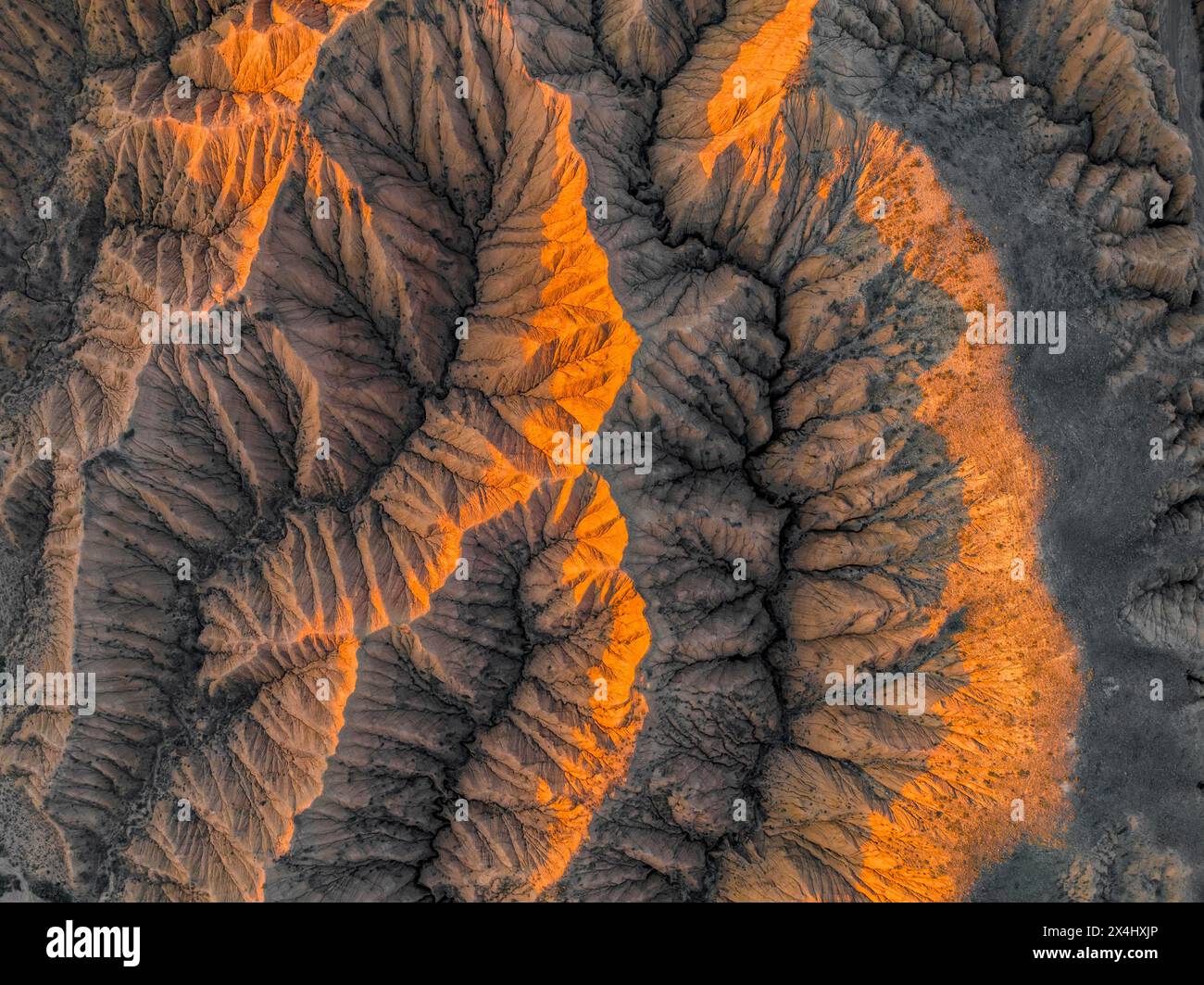 Blick aus der Vogelperspektive, Blick von oben, Canyon verläuft durch Landschaft, dramatische karge Landschaft mit erodierten Hügeln, Badlands, Canyon der vergessenen Flüsse Stockfoto