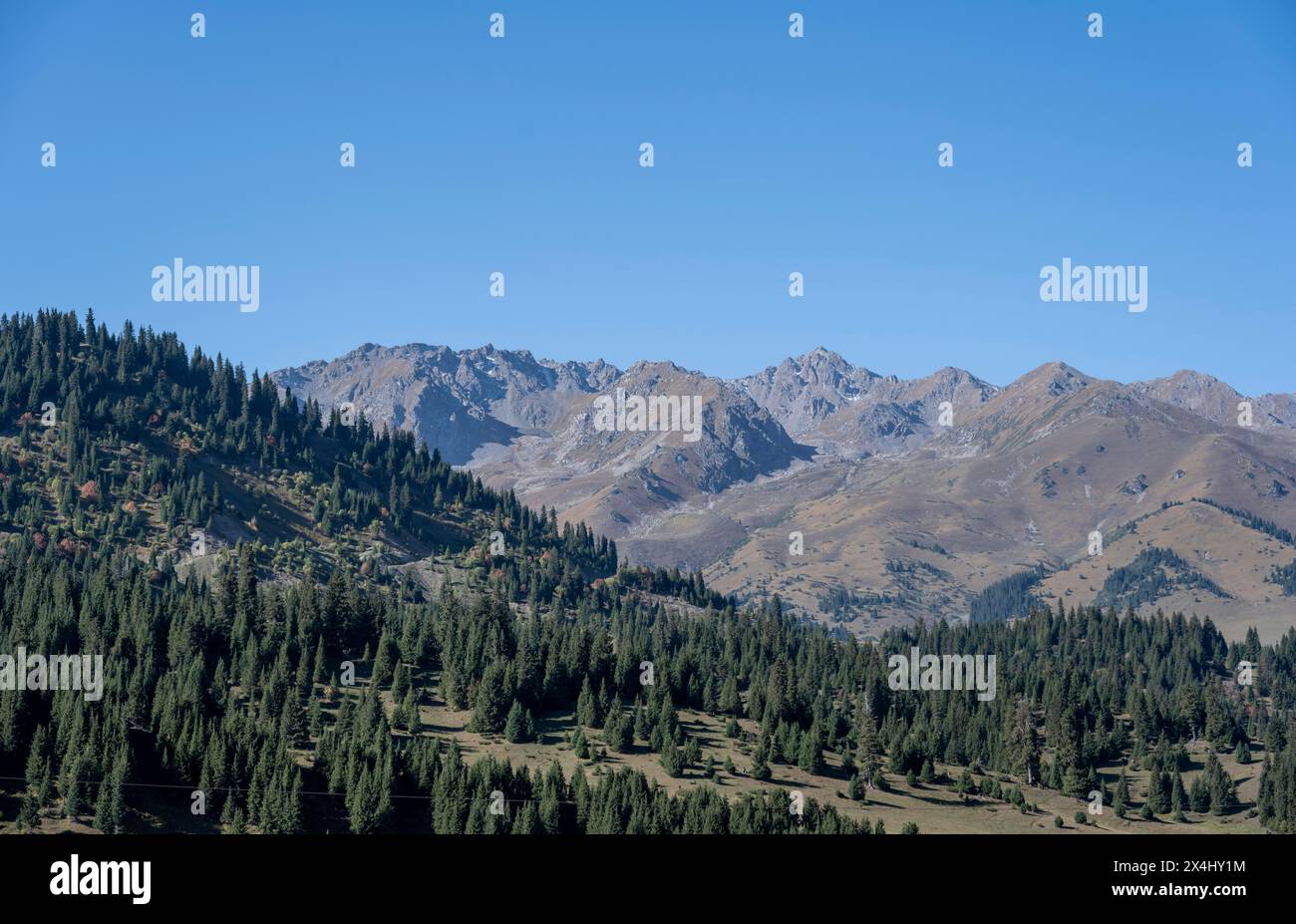 Landschaft in der Nähe von Jyrgalan, Tuep Rajon, Kirgisistan Stockfoto