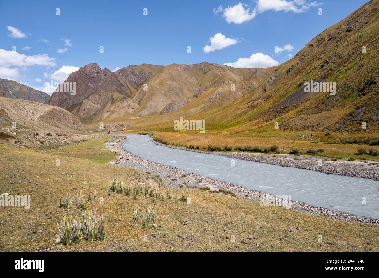 Fluss in den Bergen des Tien Shan, Engilchek-Tal, Kirgisistan, Issyk Kul, Kirgisistan Stockfoto