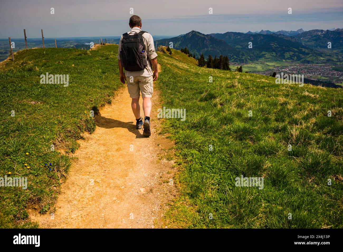 Wanderer, Steineberg, 1683m, Nagelfluhkette, Allgäuer Alpen, Allgaeu, Bayern, Deutschland Stockfoto