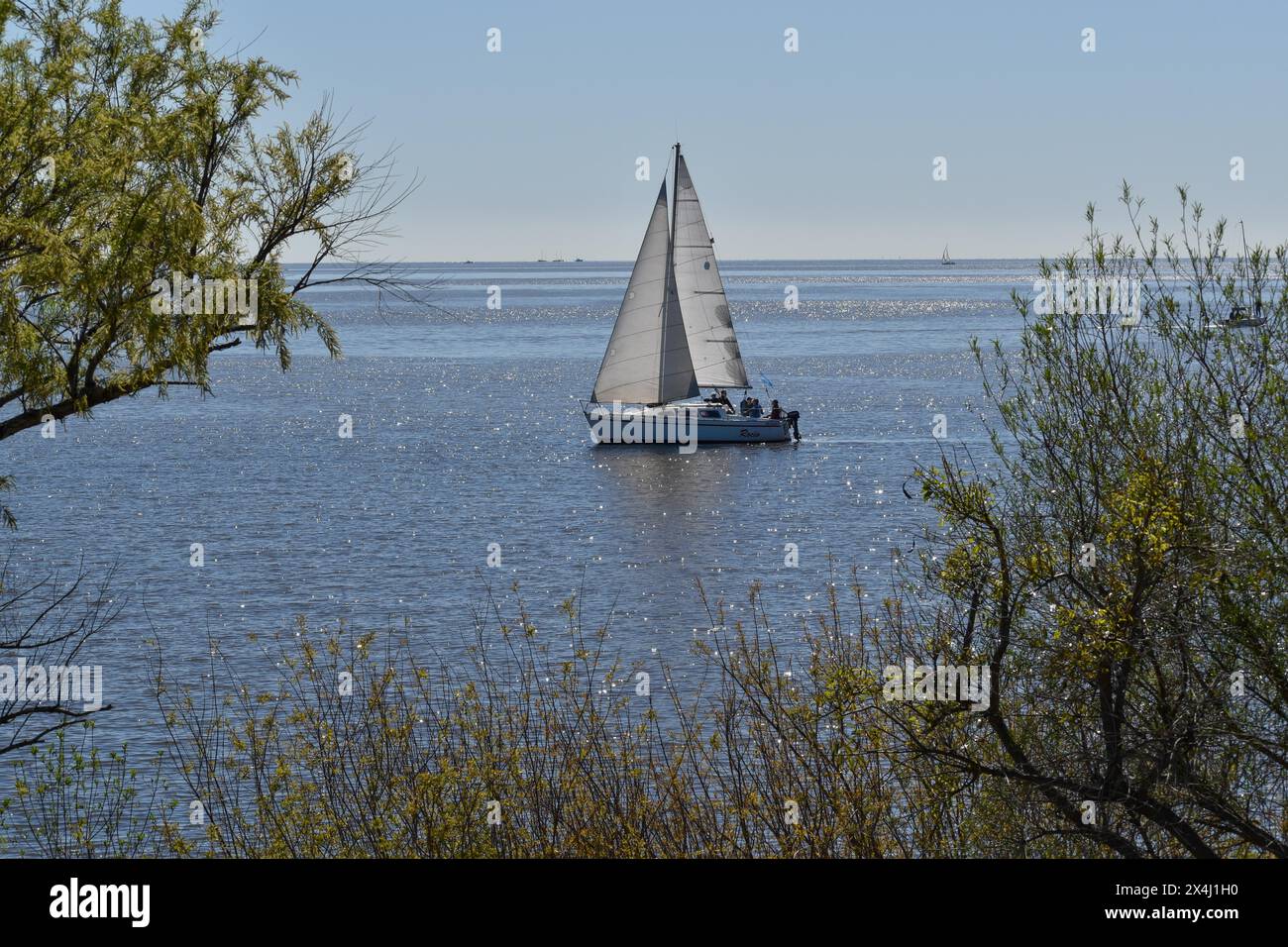 Privates Segelboot auf dem Rio de la Plata vor Buenos Aires, Argentinien Stockfoto