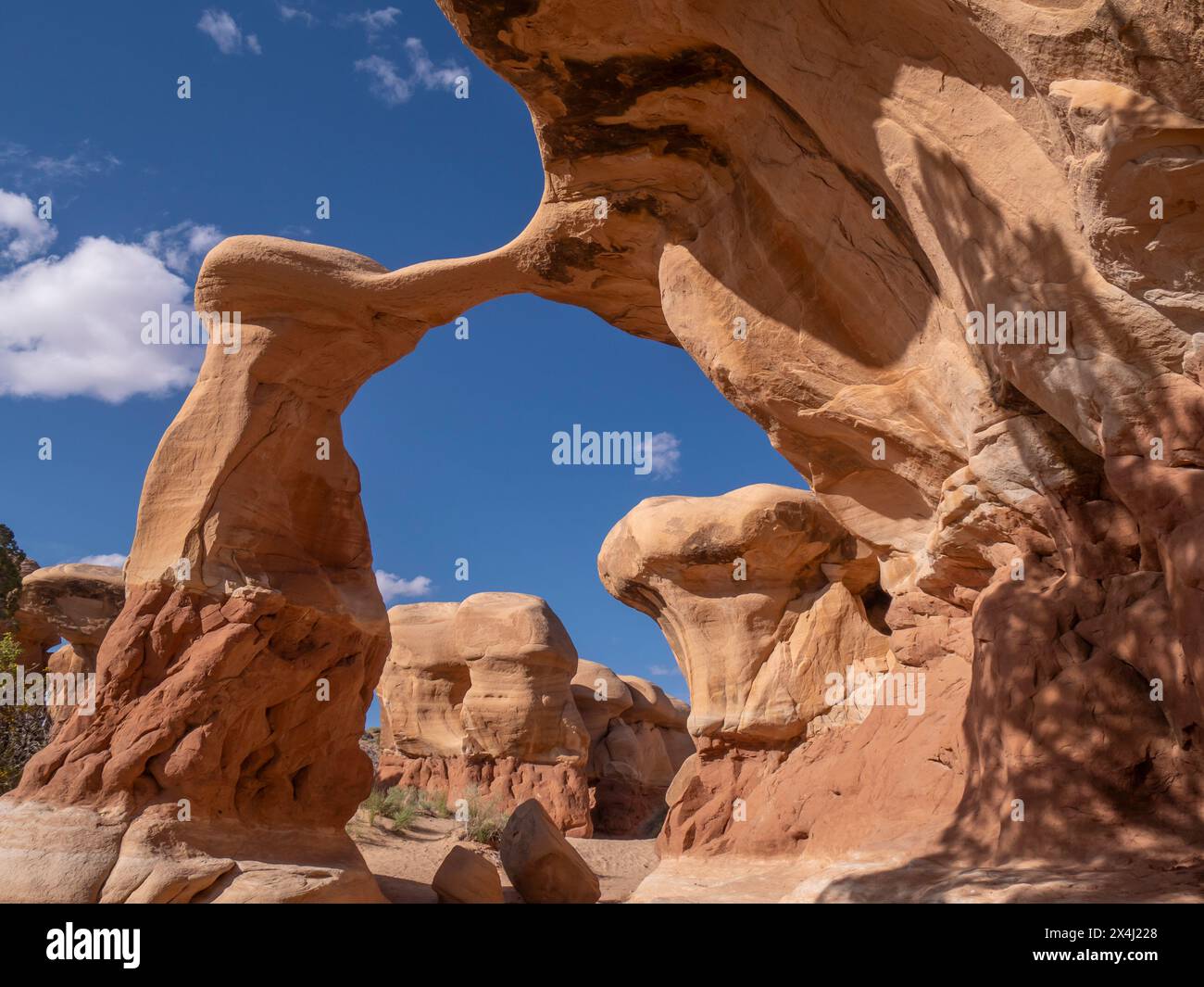 Devil's Garden, Hole in the Rock Road, Escalante, Utah. Stockfoto