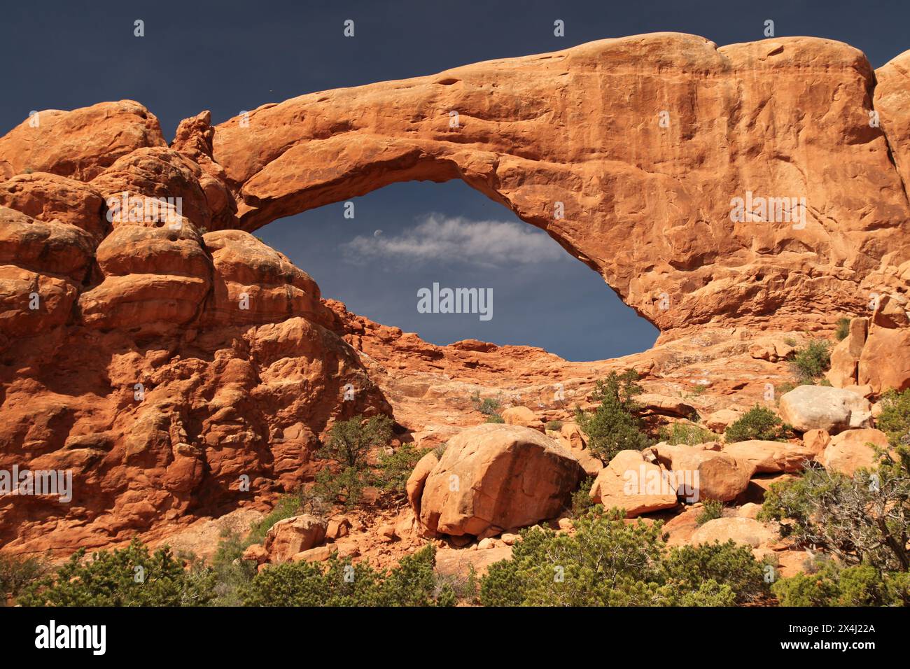 Südfenster vom Primitive Loop Trail im Arches National Park, Utah Stockfoto