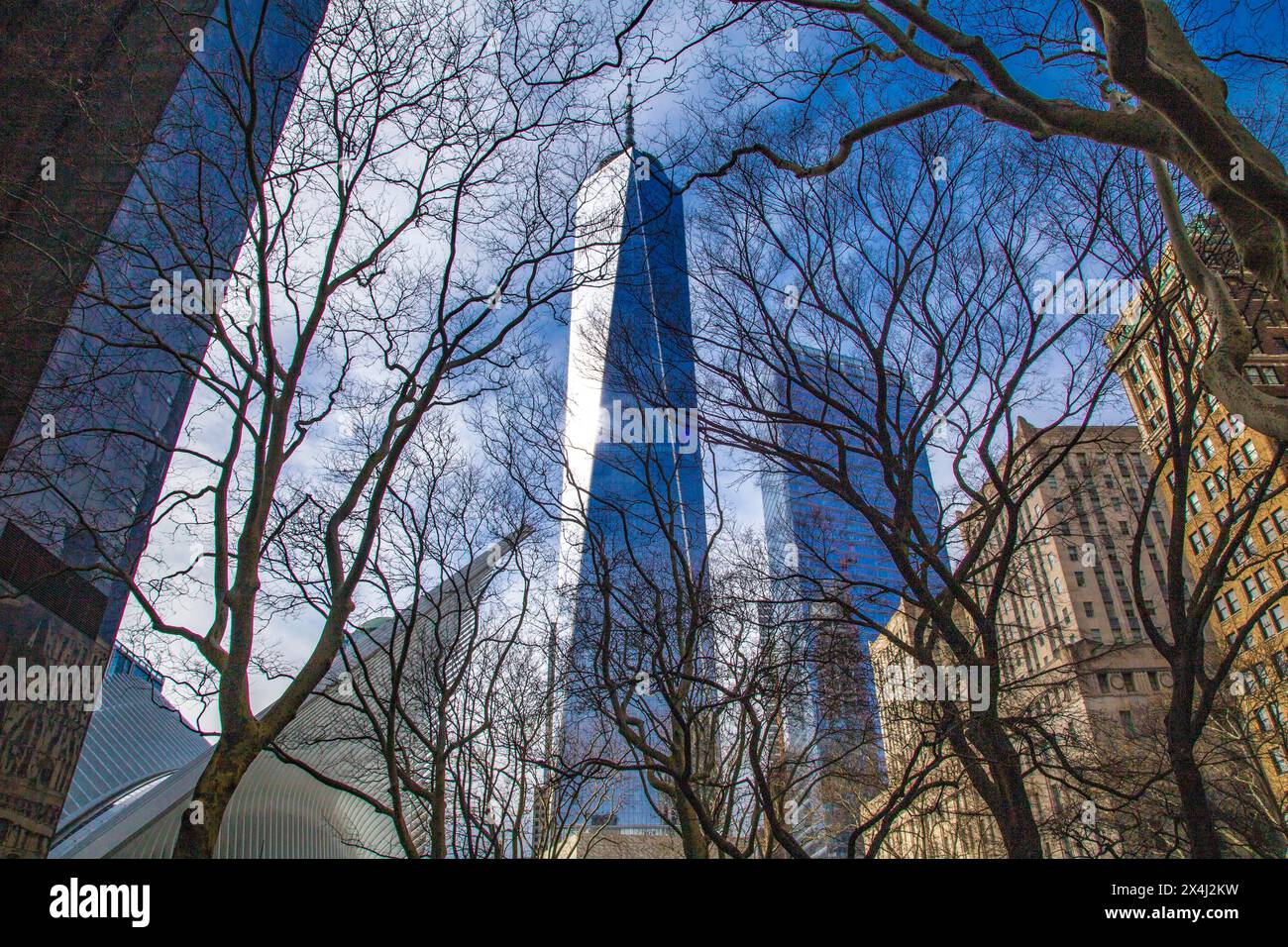 One World Trade Center in New York City Stockfoto
