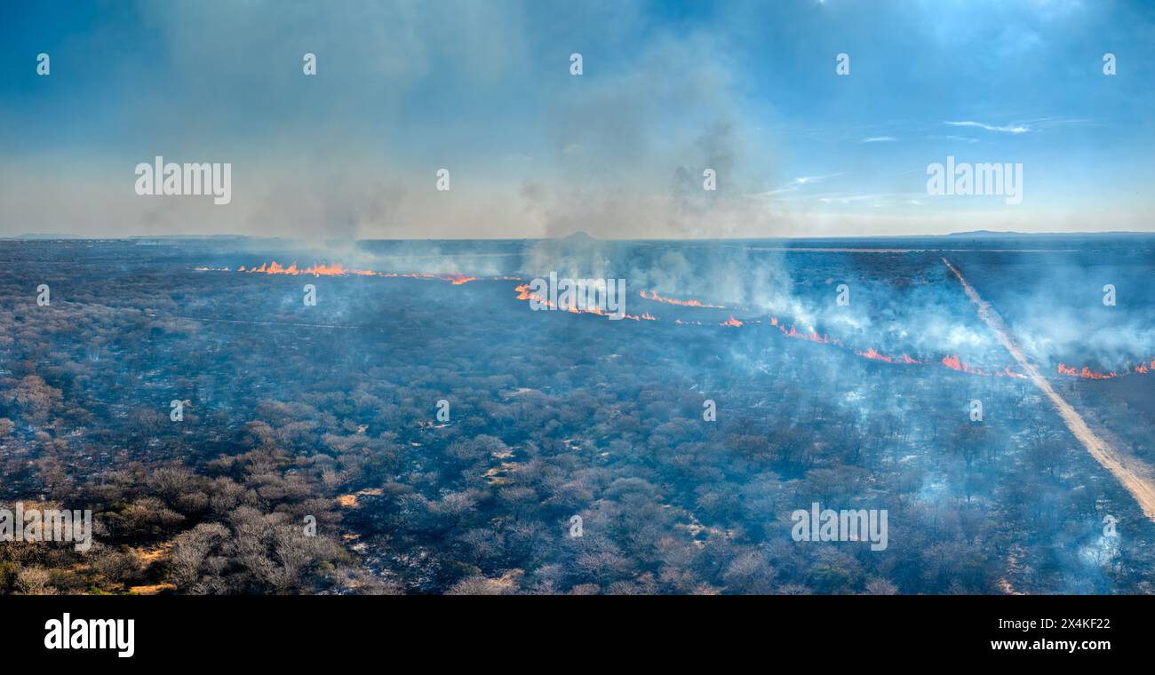 Luftbusbrand afrika, Naturkatastrophe, Entwaldung zu Pflanzen, kontrollierte Verbrennung Stockfoto