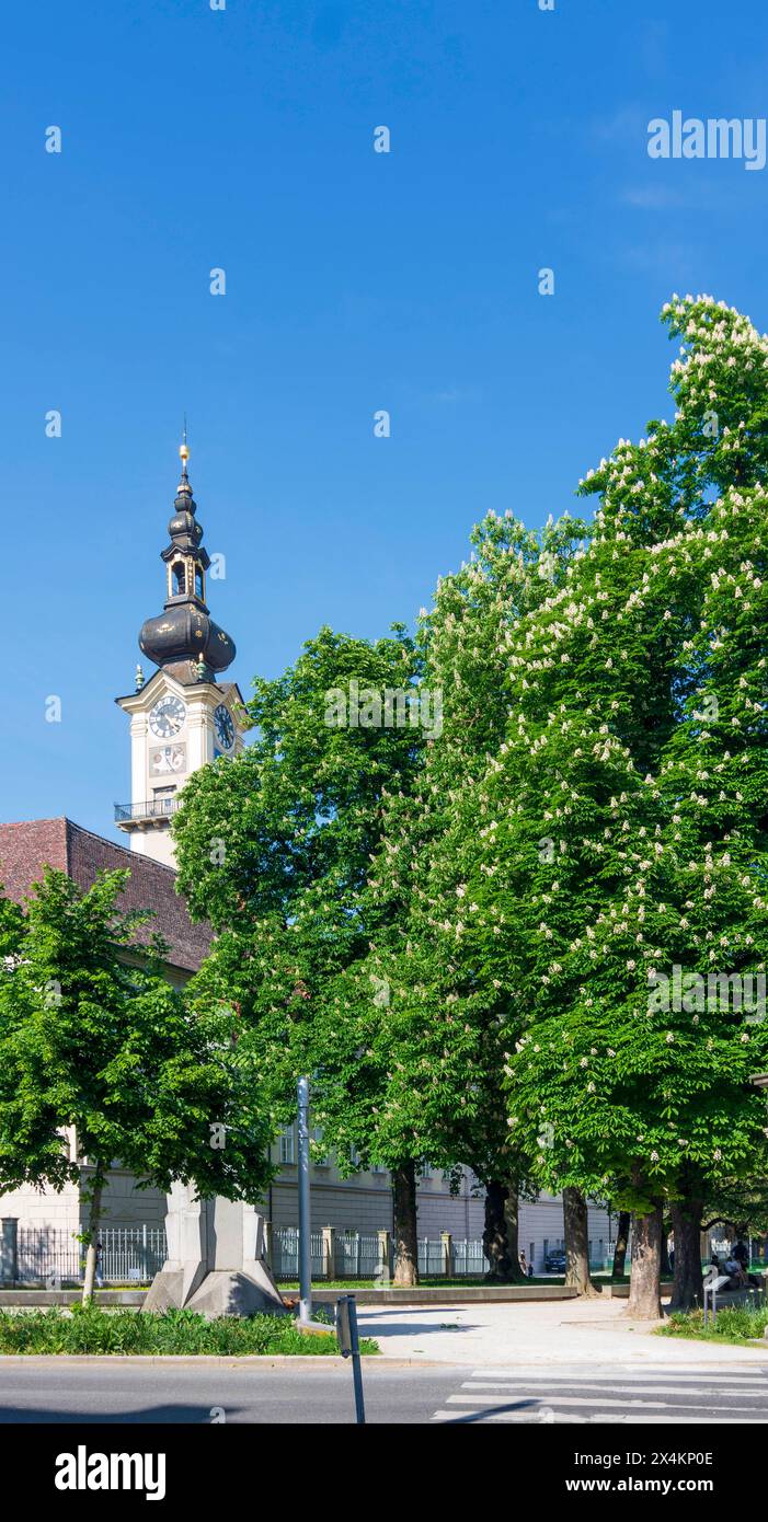 Landhaus, Sitz des Landtags von Oberösterreich Linz Donau Oberösterreich, Oberösterreich Stockfoto