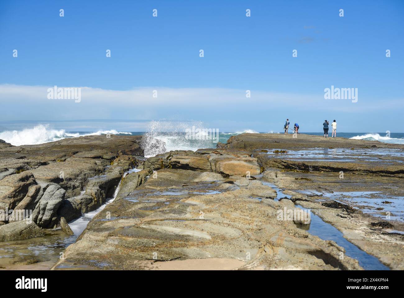 Menschen beobachten, wie riesige Wellen in eine felsige Landzunge stürzen Stockfoto