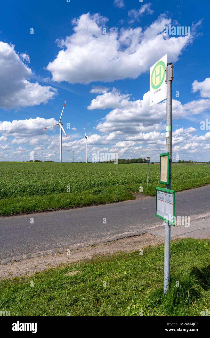 Nahverkehr auf dem Land, Linie 299, 4 Haltestellen werktags, Bushaltestelle Nierleistraße, Dorsten, NRW, Deutschland Stockfoto