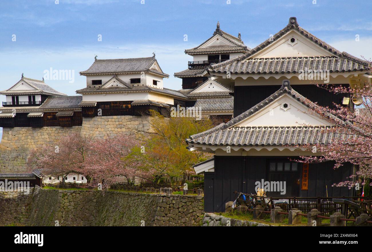 Japan, Shikoku, Matsuyama, Schloss, Stockfoto