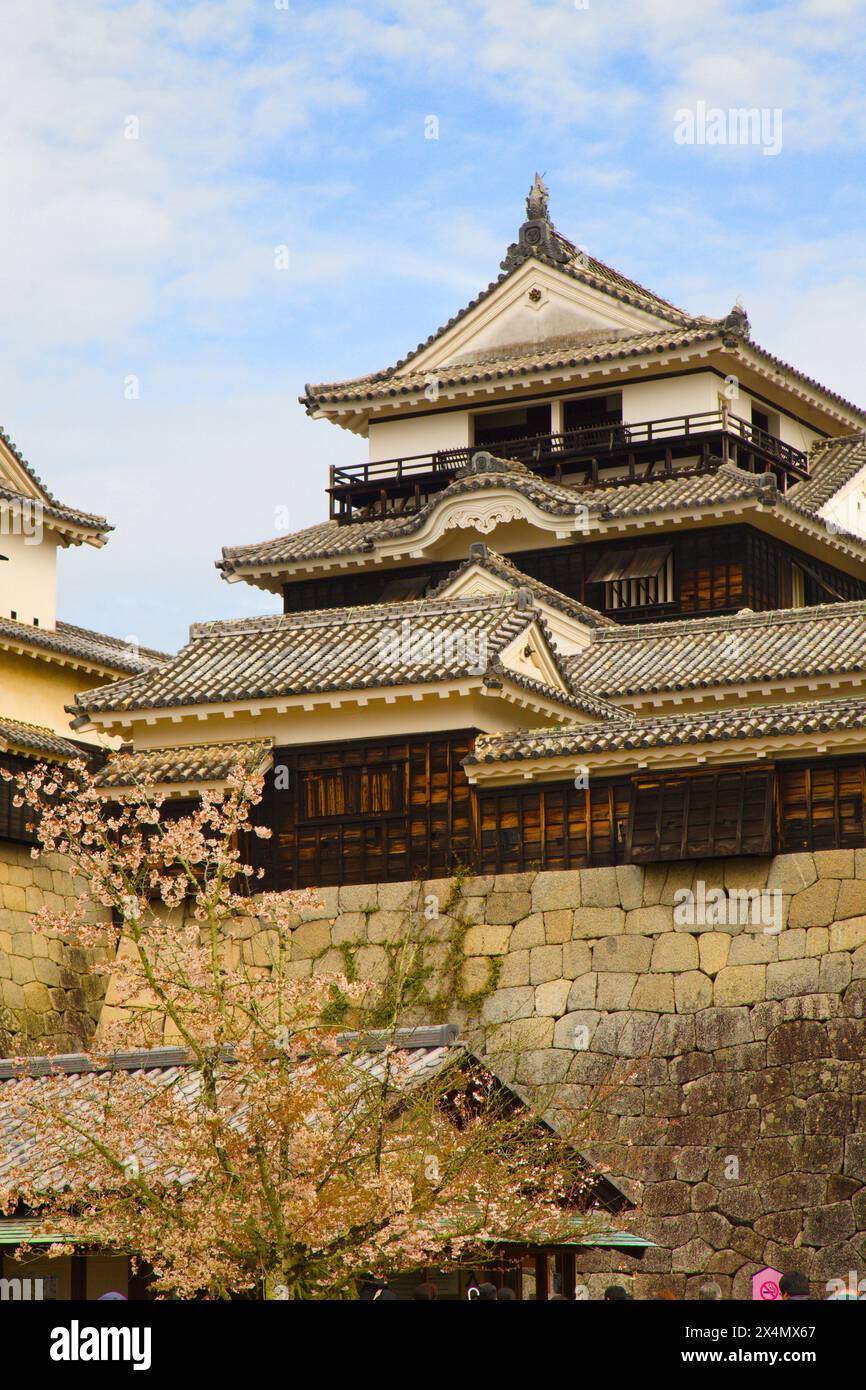 Japan, Shikoku, Matsuyama, Schloss, Stockfoto