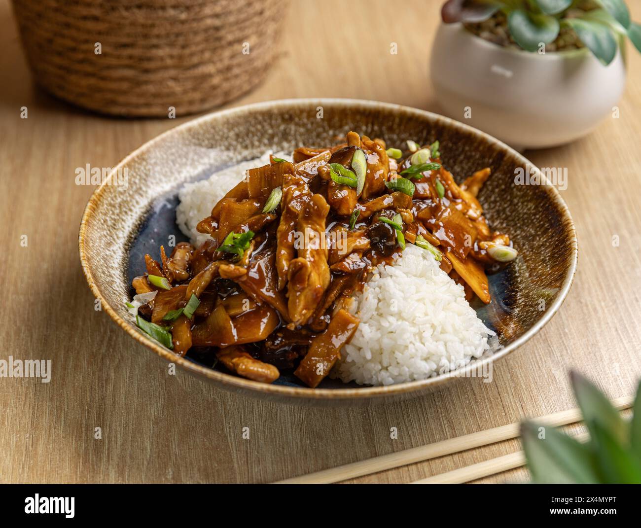 Herzhaftes Teriyaki-Hühnchen mit weißem Reis in einer Keramikschale, perfekt für ein Gourmet-Essen Stockfoto