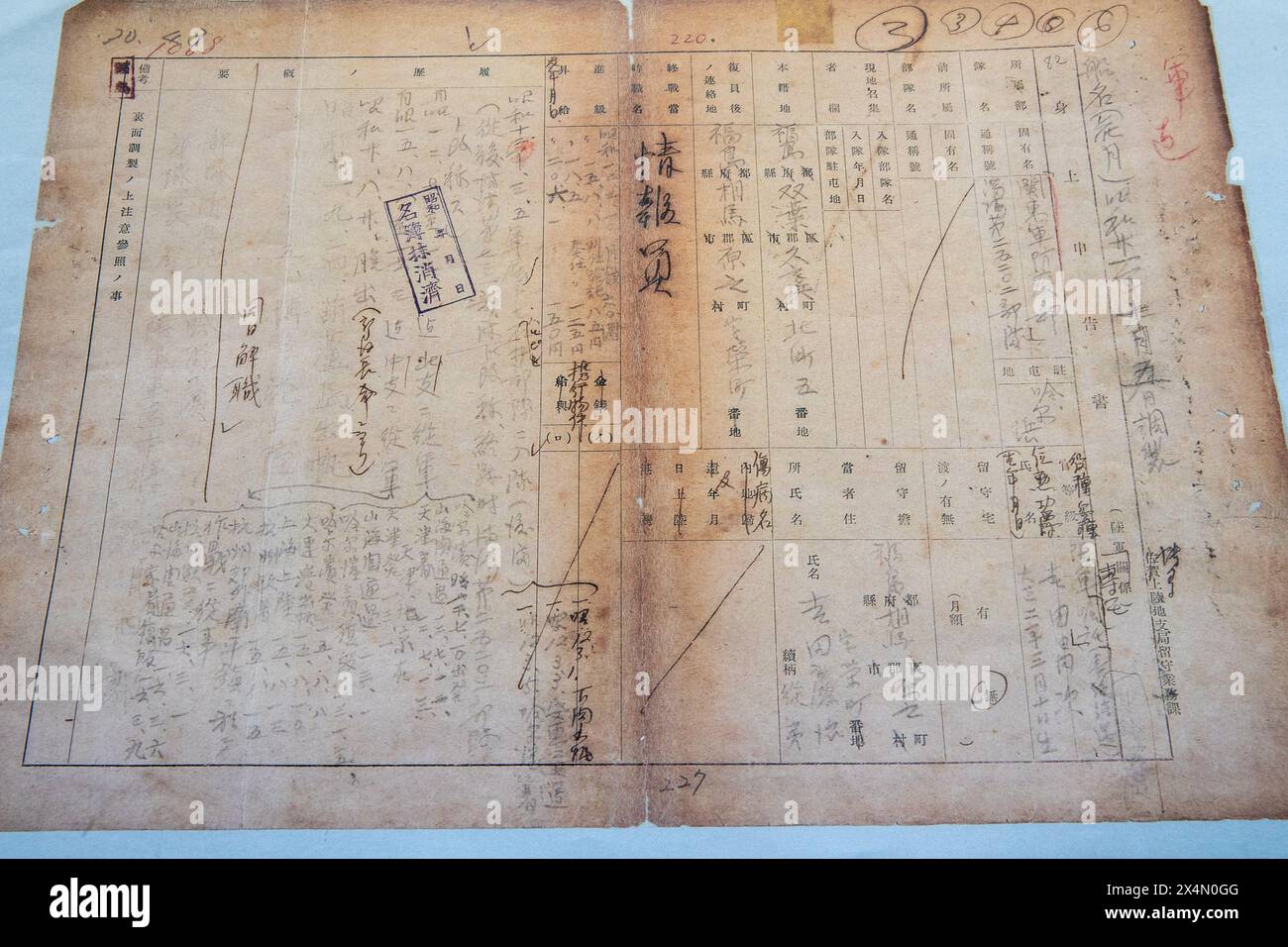(240504) -- HARBIN, 4. Mai 2024 (Xinhua) -- dieses Foto vom 4. Mai 2024 zeigt die Kopie einer Seite aus einem Dokument mit detaillierten Informationen über das Militär der Einheit 731, einer japanischen Keimkriegseinheit während des Zweiten Weltkriegs, in der Ausstellungshalle der Beweise für Verbrechen der Einheit 731 der japanischen Kaiserlichen Armee in Harbin, der Hauptstadt der nordöstlichen chinesischen Provinz Heilongjiang. Das Dokument wurde am Samstag zum ersten Mal hier enthüllt. Das 69-seitige Dokument enthält Personalakten von 52 Mitgliedern des Referats, einschließlich Namen, Herkunftsorte, Posten am Ende des Krieges, Stockfoto