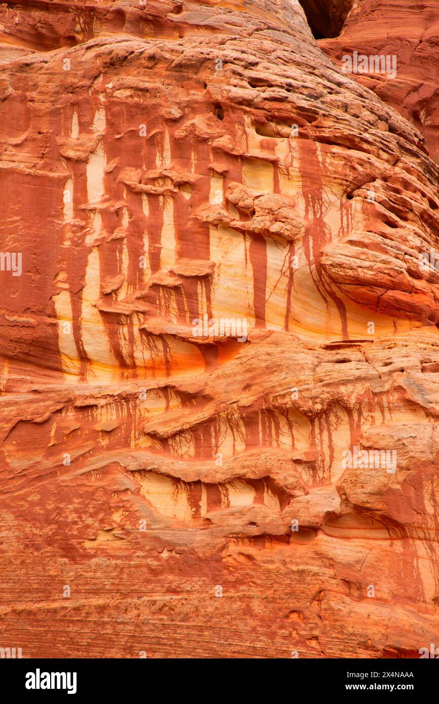 Sandsteinmuster entlang des Moqui Sand Caves Trail, Kane County, Utah Stockfoto