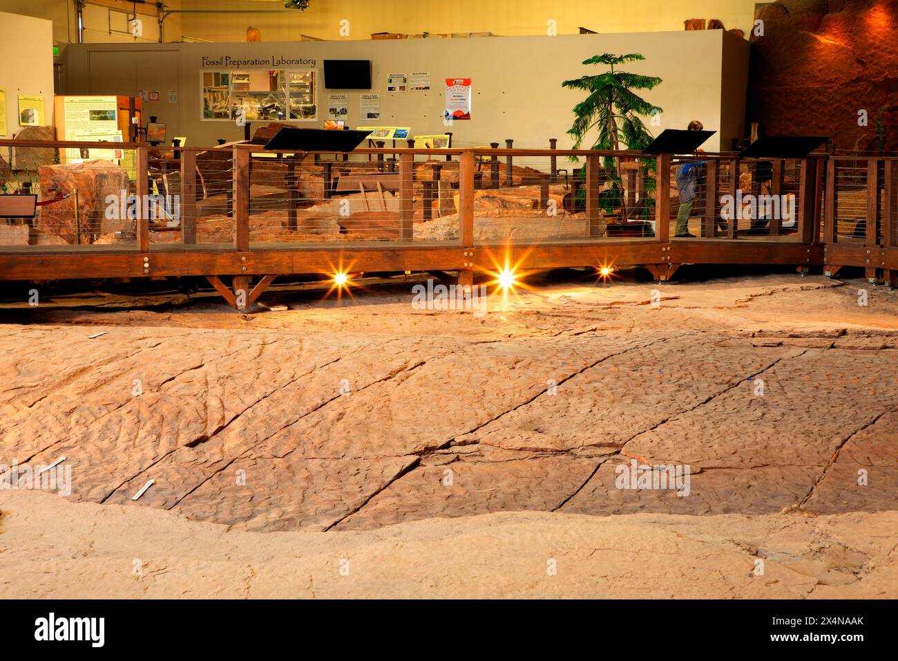 Dinosaur Track, St. George Dinosaur Discovery Site auf der Johnson Farm, St. George, Utah Stockfoto