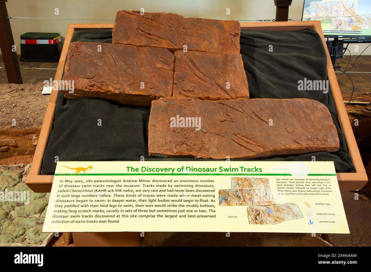 Dinosaurier-Schwimmbahnen, St. George Dinosaur Discovery Site at Johnson Farm, St. George, Utah Stockfoto