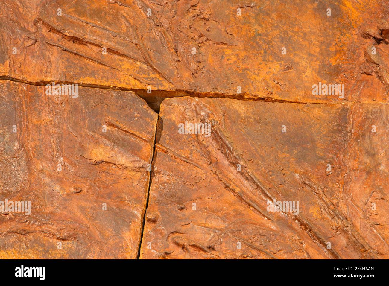 Dinosaurier-Schwimmbahnen, St. George Dinosaur Discovery Site at Johnson Farm, St. George, Utah Stockfoto