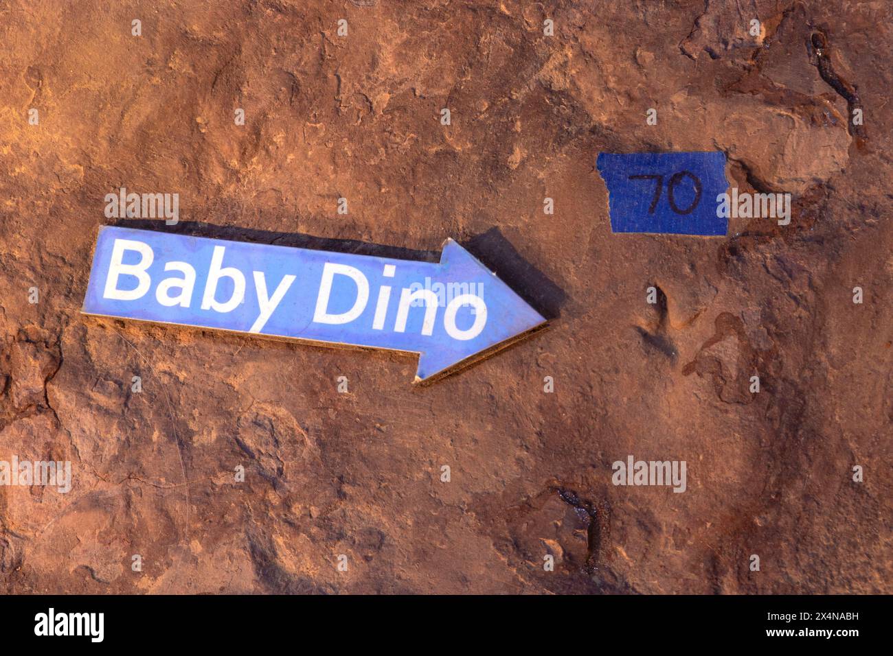 Dinosaurier Track, St. George Dinosaur Discovery Site auf der Johnson Farm, St. George, Utah Stockfoto