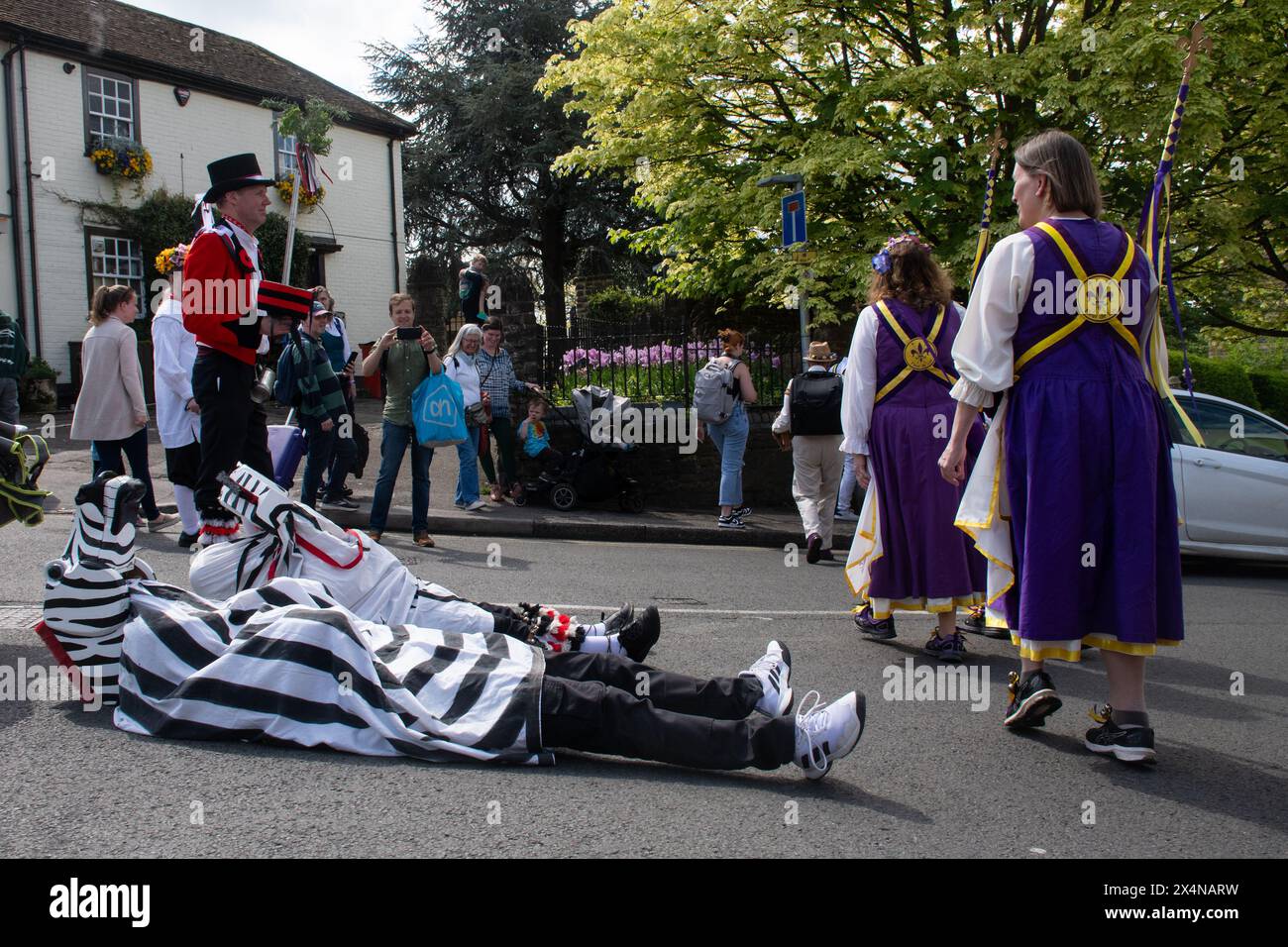 Mai 2024. Das Guildford Summerpole Festival fand heute im Stadtzentrum statt. Die jährliche Veranstaltung der Guildford Pilgrim Morris Dancers umfasst eine Prozession die High Street hinauf, Darstellungen von morris-Tänzen von mehreren Gruppen, gefolgt von der Errichtung der Sommerstange (anstelle eines traditionellen Maipols) auf dem Gelände von Guildford Castle und weitere Tänze. Stockfoto