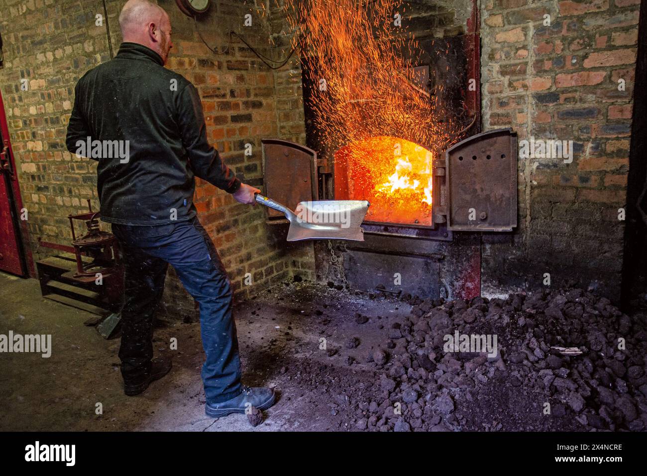 Mann, der Torf in den Ofen schaufelt, in der Springbank Destillerie, Campbeltown, Schottland, Großbritannien Stockfoto