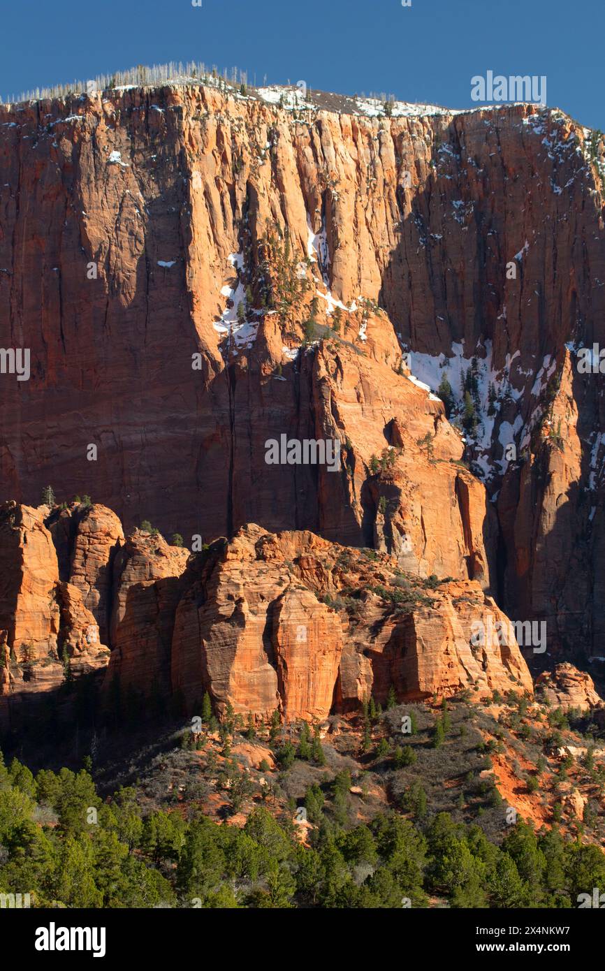 Blick auf die Kolob Canyons, Zion National Park, Utah Stockfoto