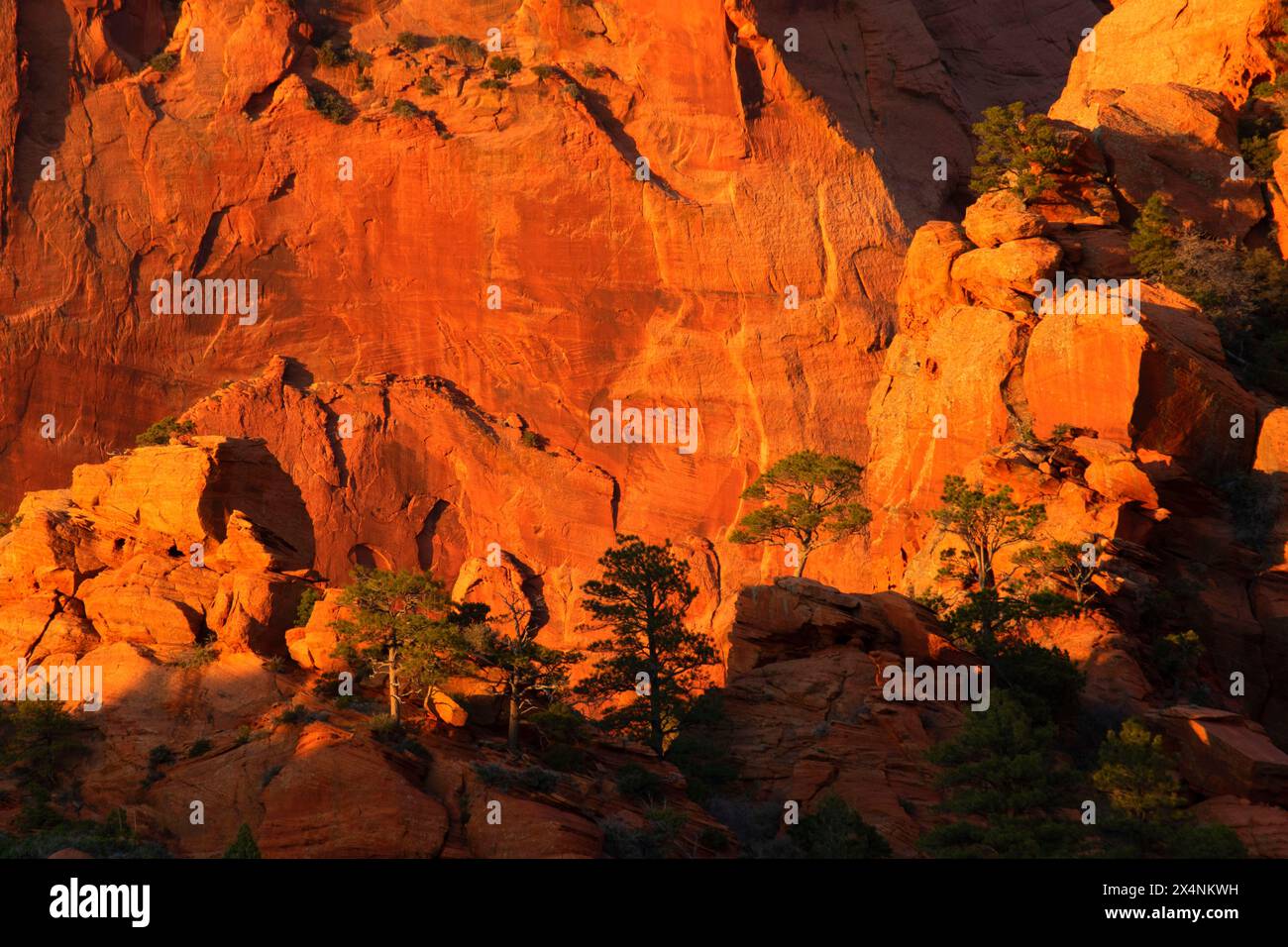 Blick auf die Kolob Canyons, Zion National Park, Utah Stockfoto